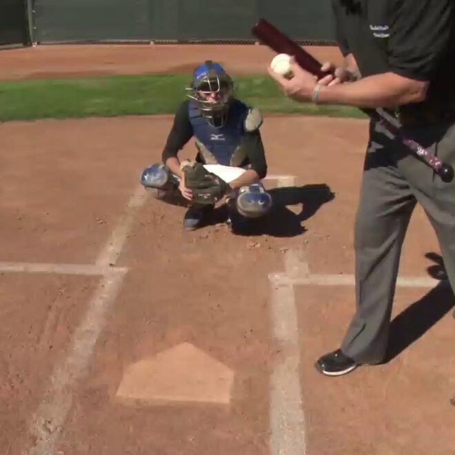 A ball struck by the batter hits him inside while in the batter's box