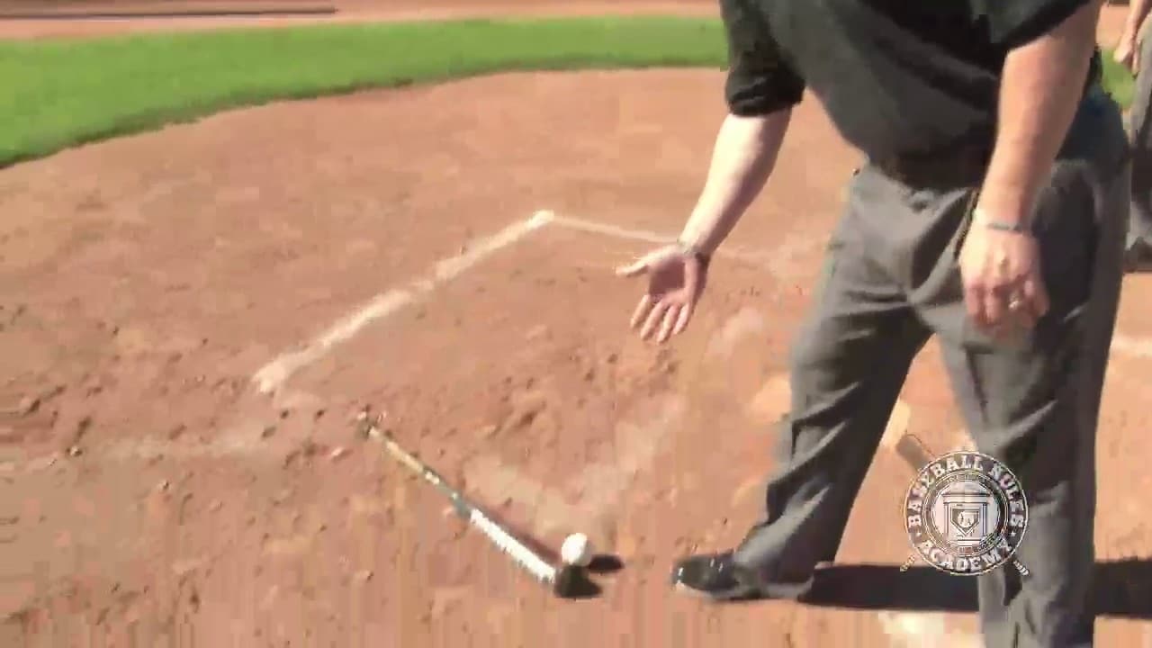 Batter Drops Bat (no intentional interference), Ball Touches Bat and